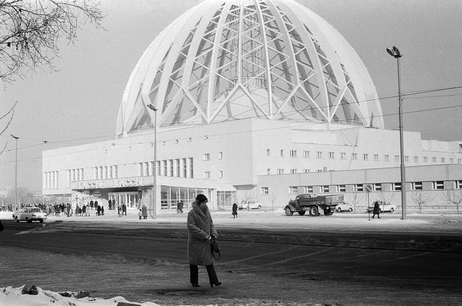 �����������