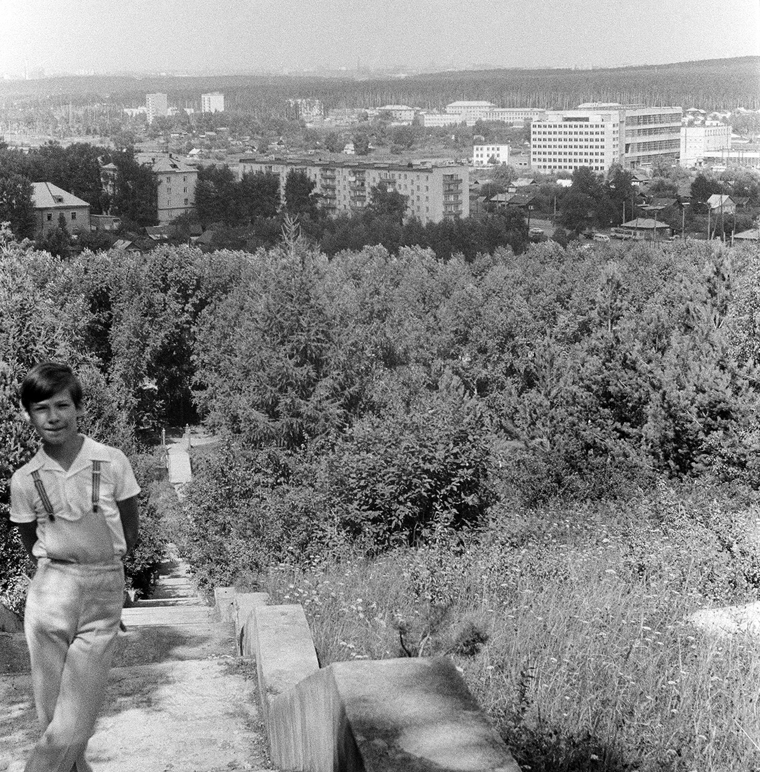 ������������� �����������