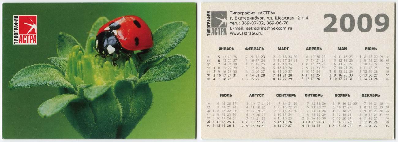 ������������� �����������