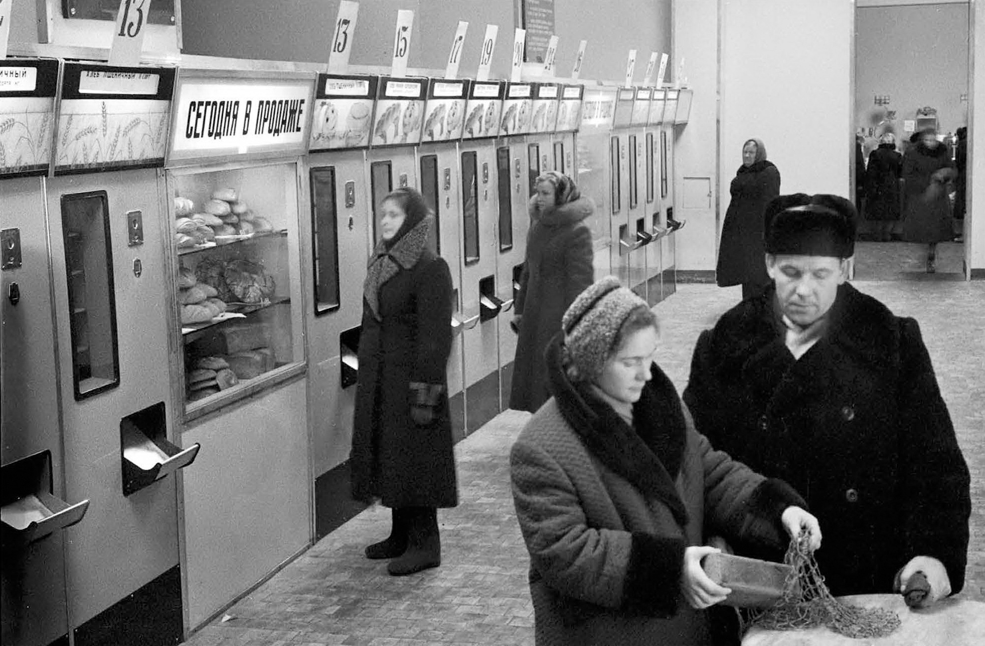 ������������� �����������